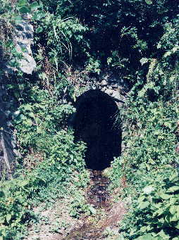 �ʐ^�i���쐅�����i�Α��j