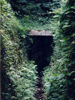 �ʐ^�i���쐅�������j