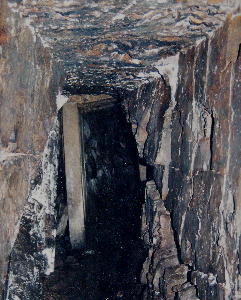 �ʐ^�i���쐅�����Ղ�h���j