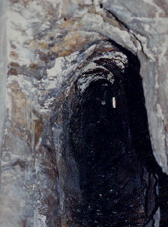 �ʐ^�i���쐅���g���l�����̒n���j